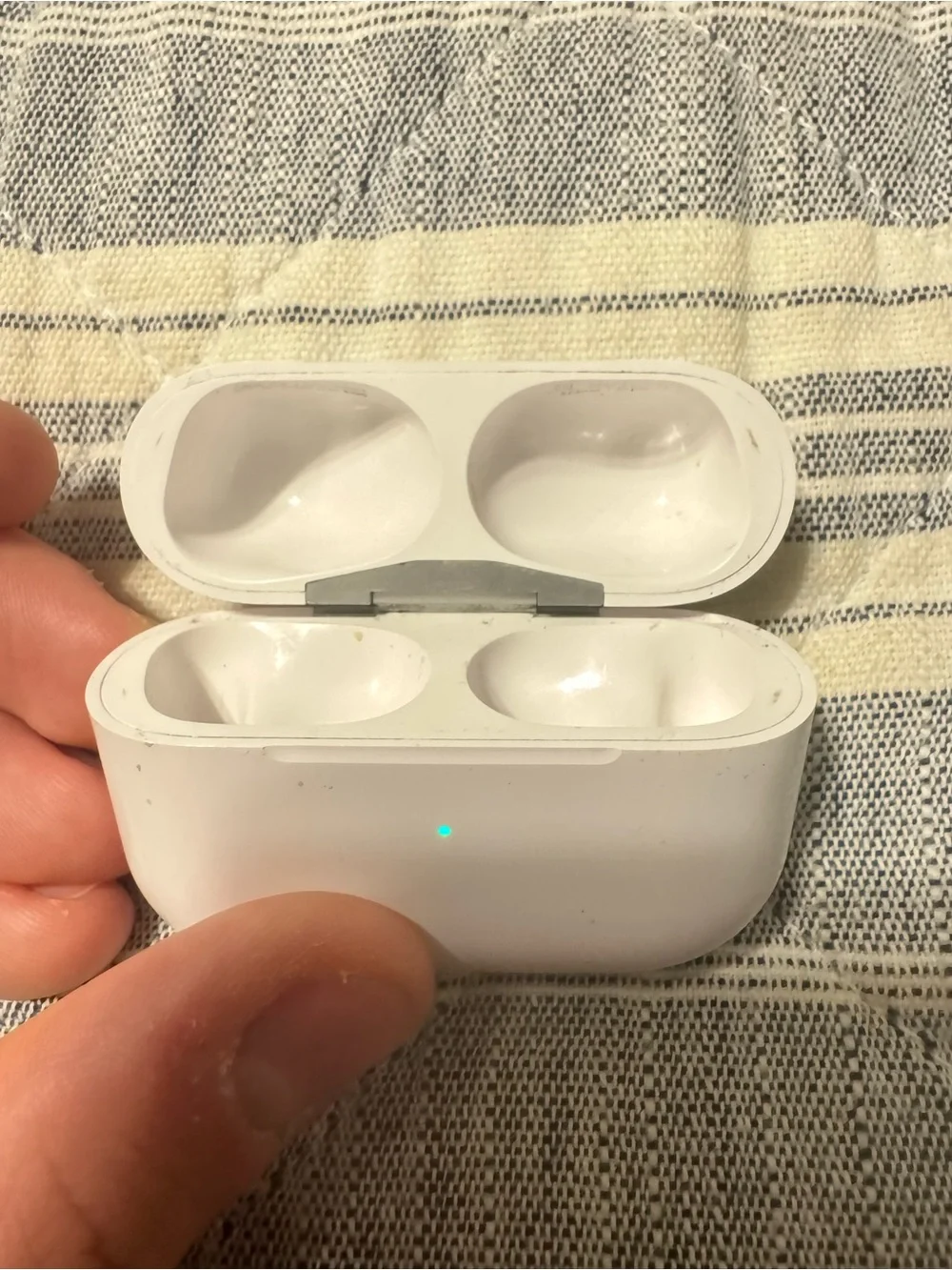 Apple AirPod pros case only